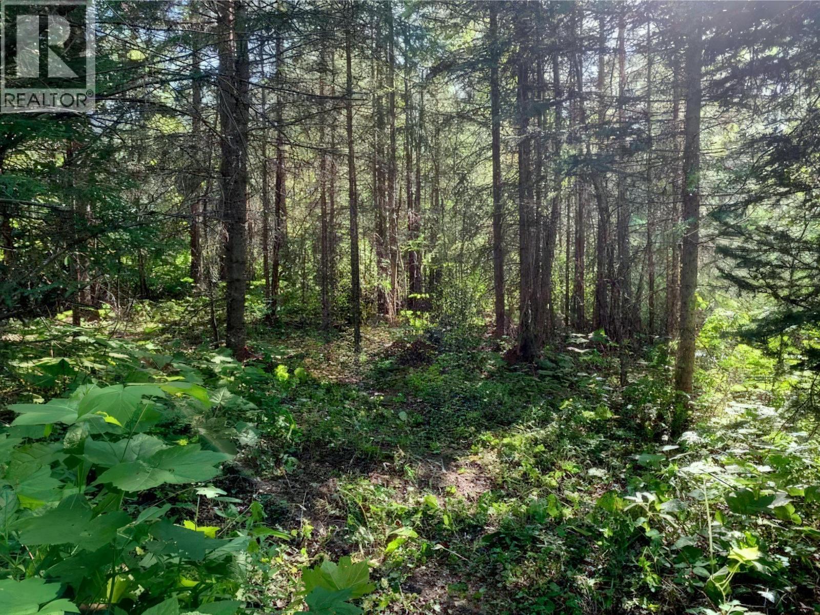 Lot 2 DL11991 HORSEFLY-QUESNEL LAKE ROAD