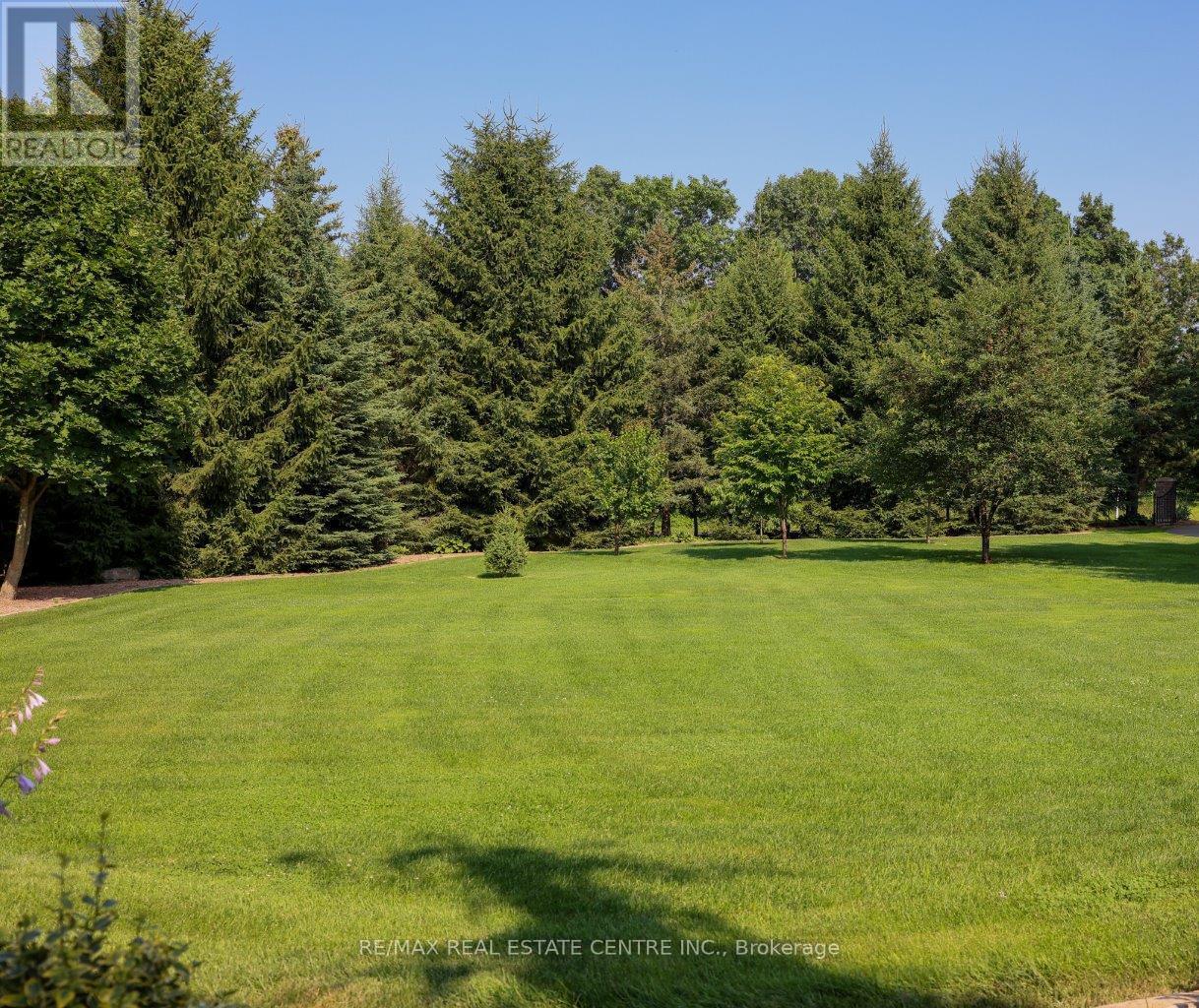 203 EAST RIVER ROAD