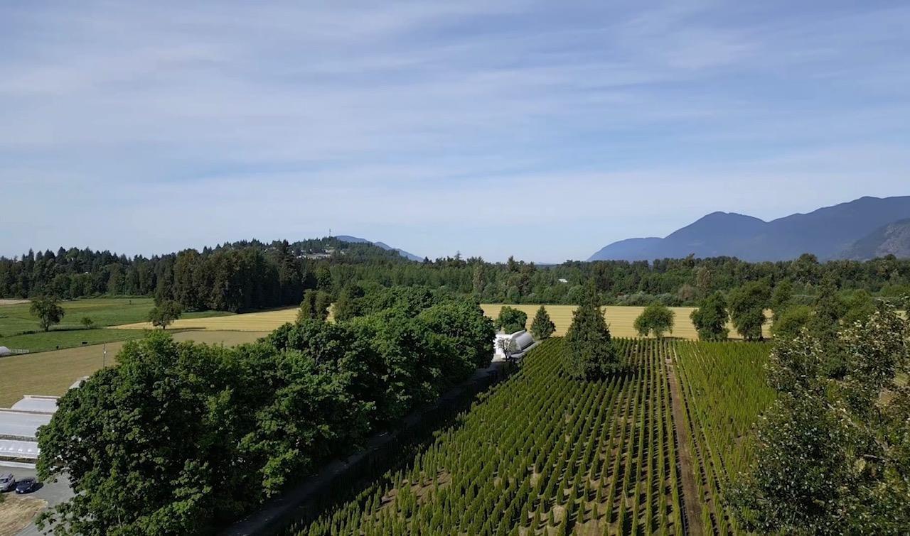 10555 REEVES ROAD|East Chilliwack