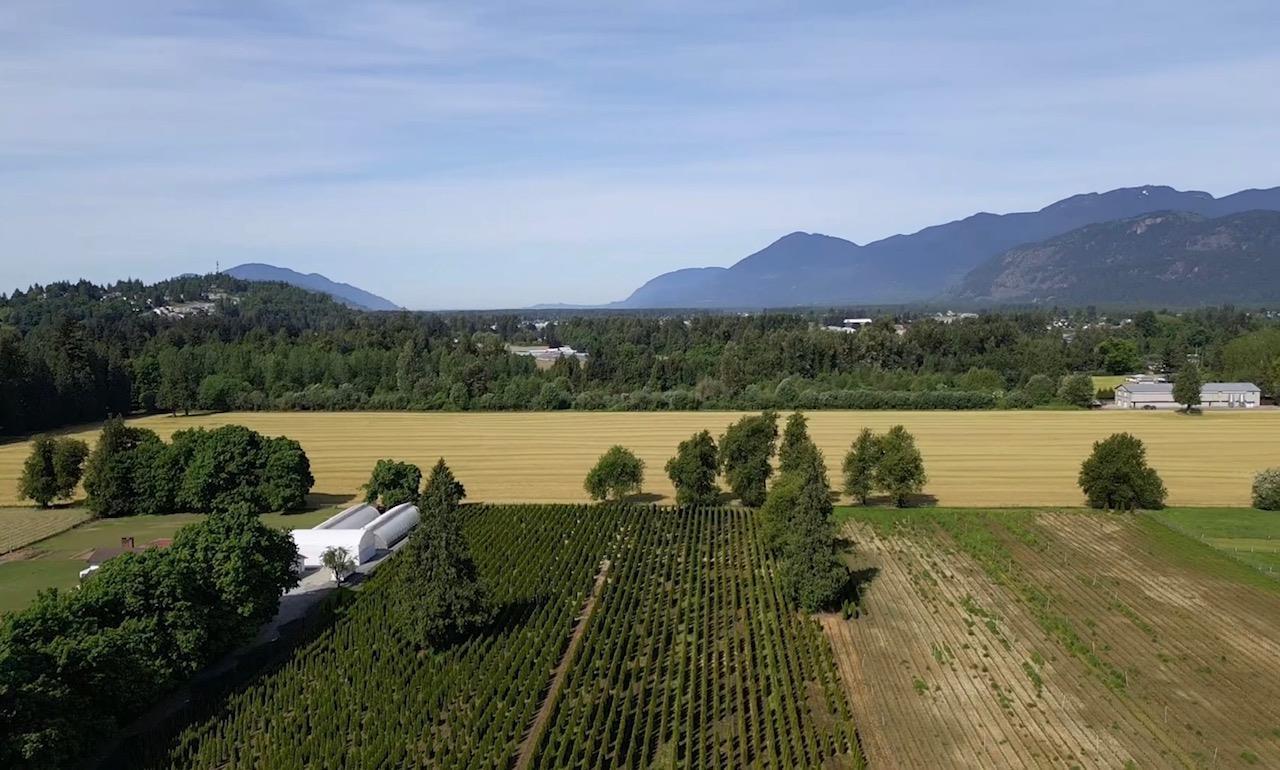 10555 REEVES ROAD|East Chilliwack
