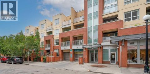 308, 1110 3 Avenue NW Calgary AB T2N4J3