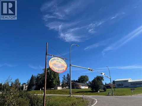 #50, 110 Highway 22 Cremona AB T0M0R0