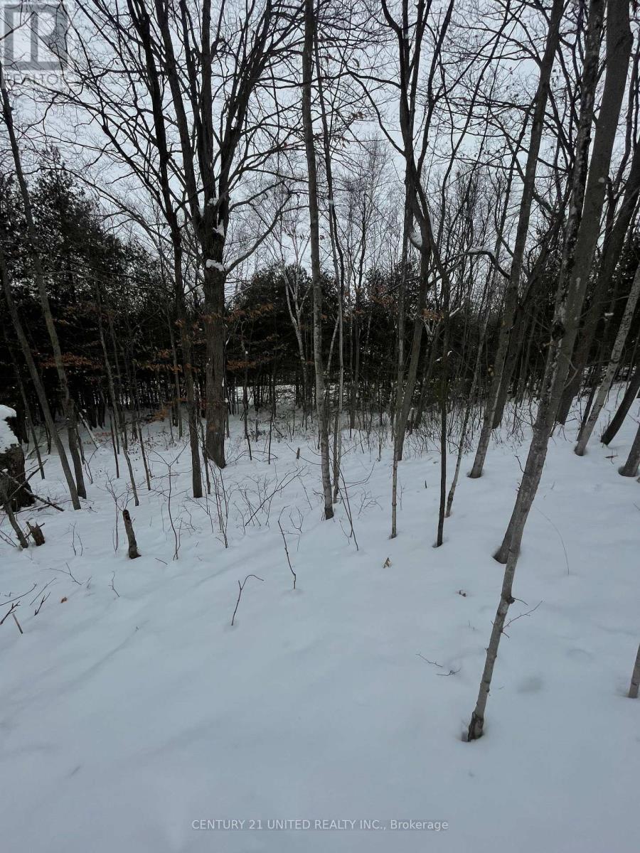 PTLT 37 TRENT VIEW DRIVE