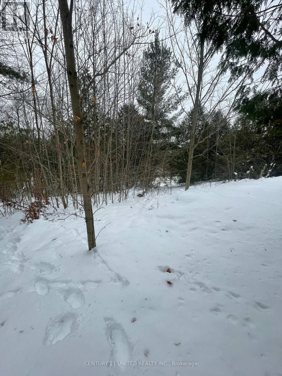 PTLT 37 TRENT VIEW DRIVE