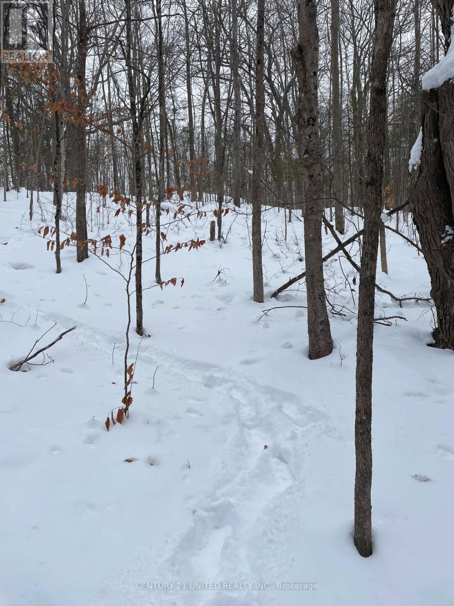 PTLT 37 TRENT VIEW DRIVE