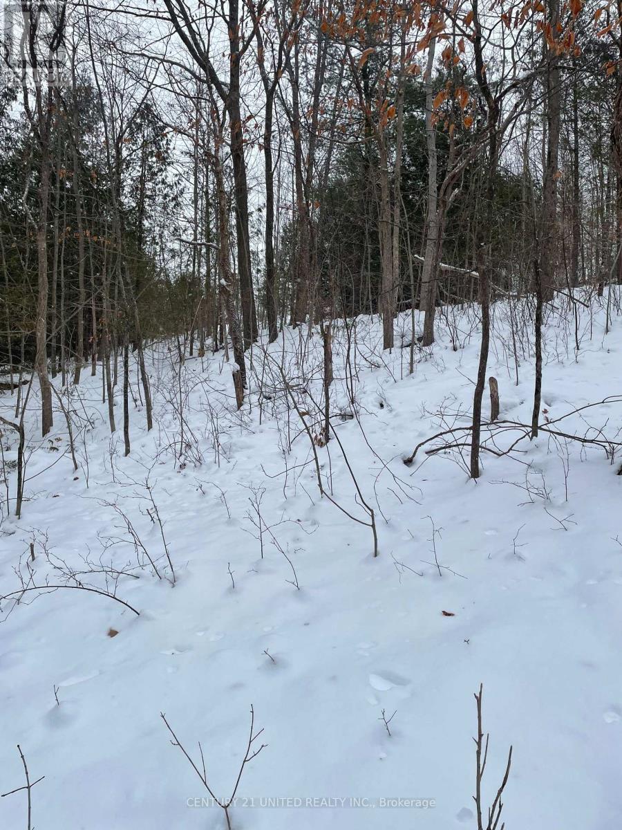 PTLT 37 TRENT VIEW DRIVE