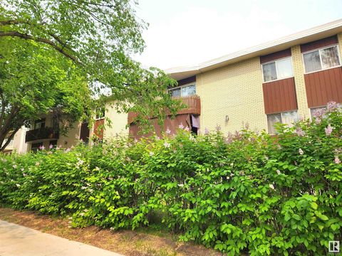 #305 11907 81 ST NW Edmonton AB T5B2S7