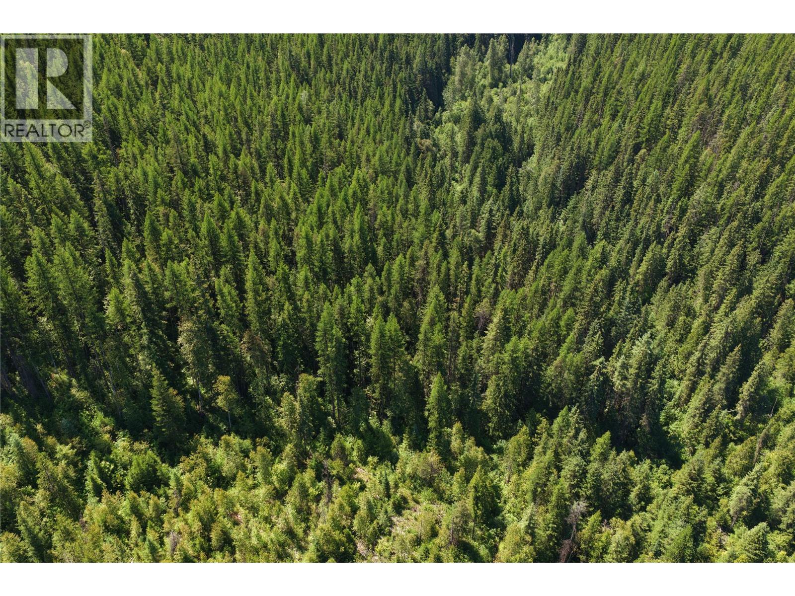549 ROSEBUD LAKE Road