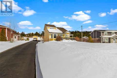 17 Acharya Drive Paradise NF A1L2S9