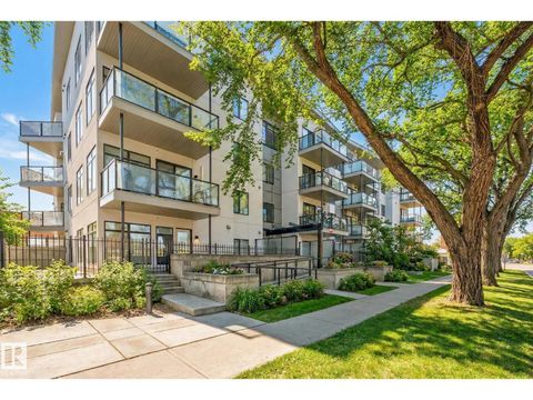 #304 10837 83 AV NW Edmonton AB T6E2E6