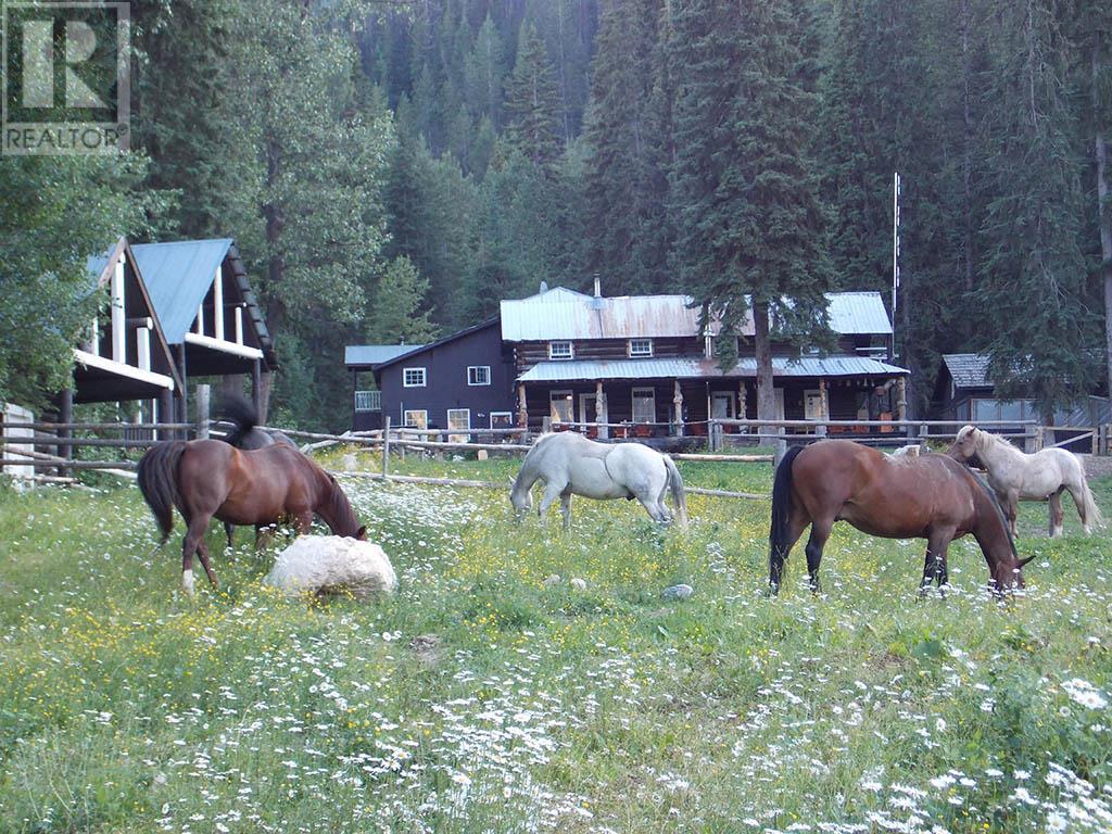4227-4233 Beaverfoot Forest Service Road