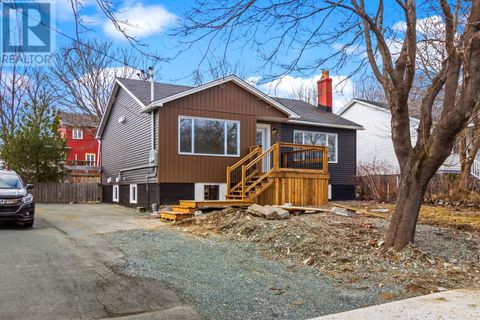65 Cornwall Crescent St. John's NF A1E1Z7