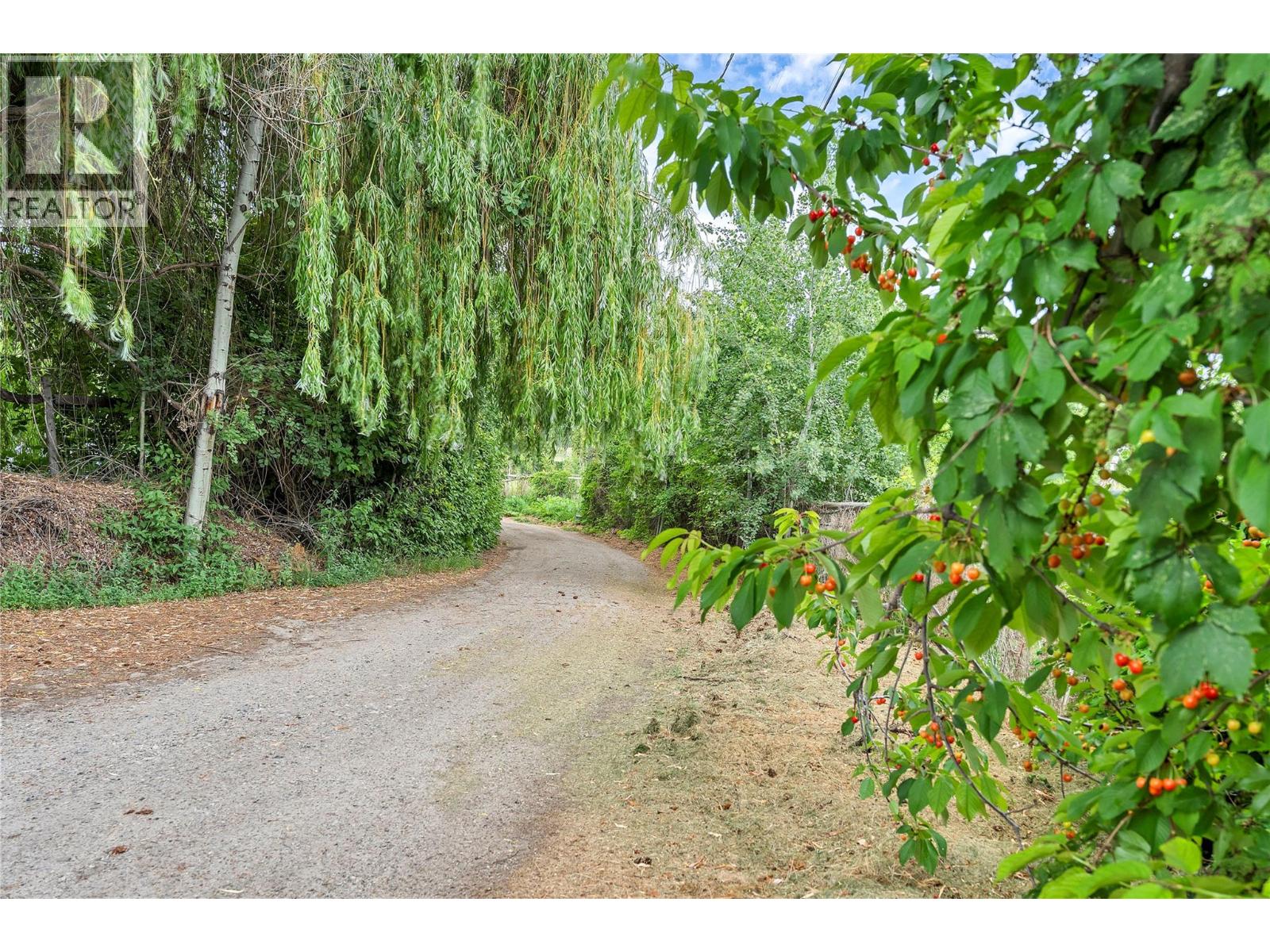 16109 Dale Meadows Road