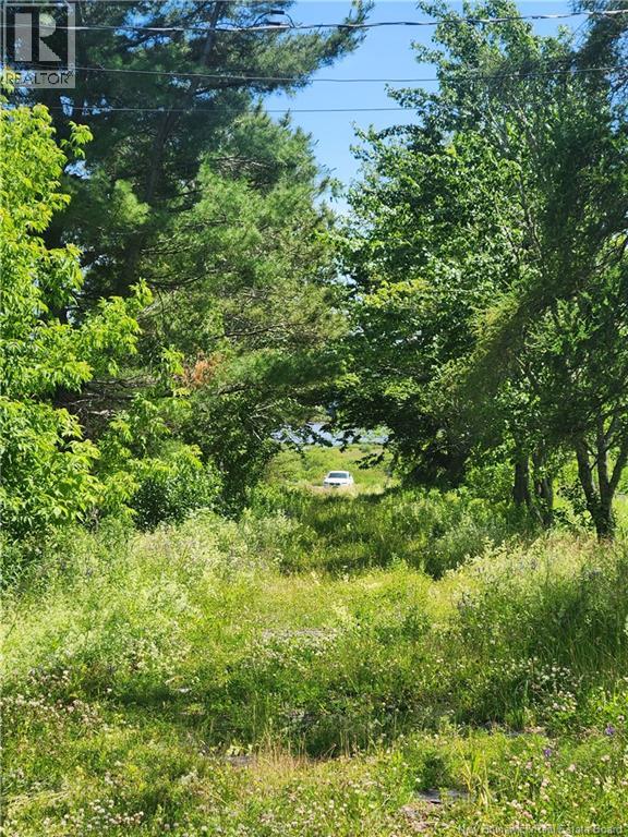 371 Route 535 - Photo 4