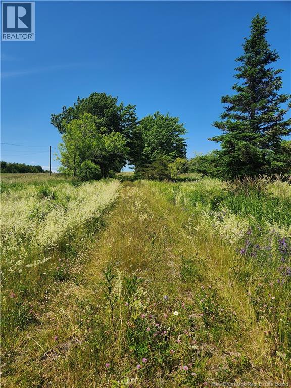 371 Route 535 - Photo 3