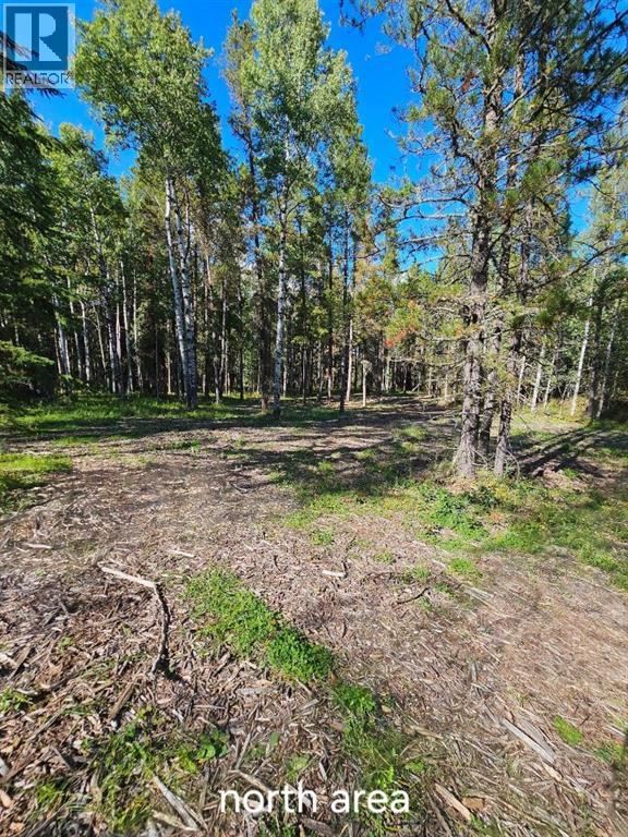 Pine Ridge Drive