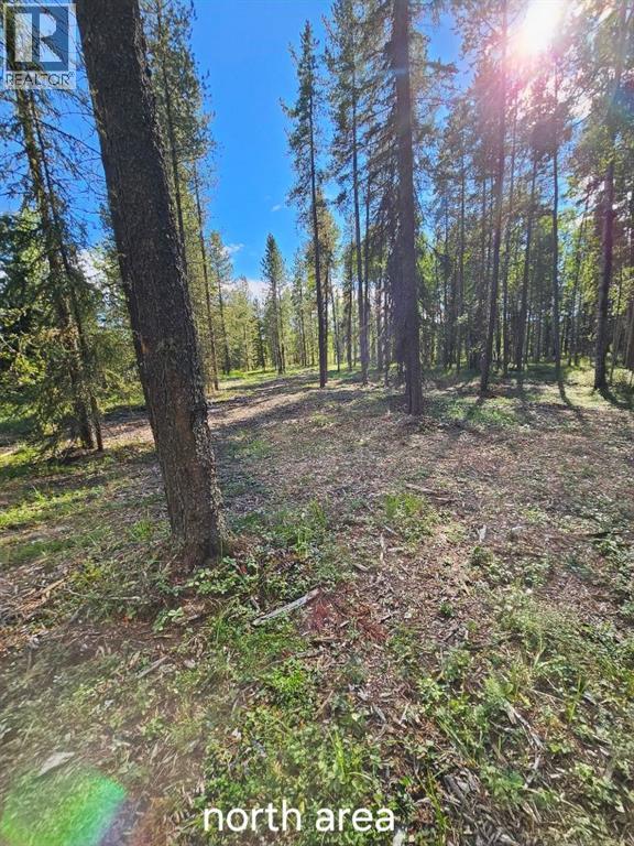 Pine Ridge Drive