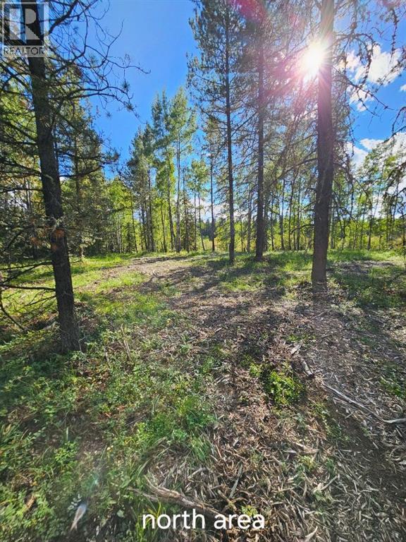 Pine Ridge Drive