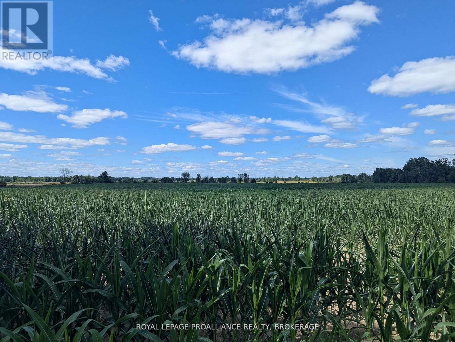 2622 4TH CONCESSION ROAD