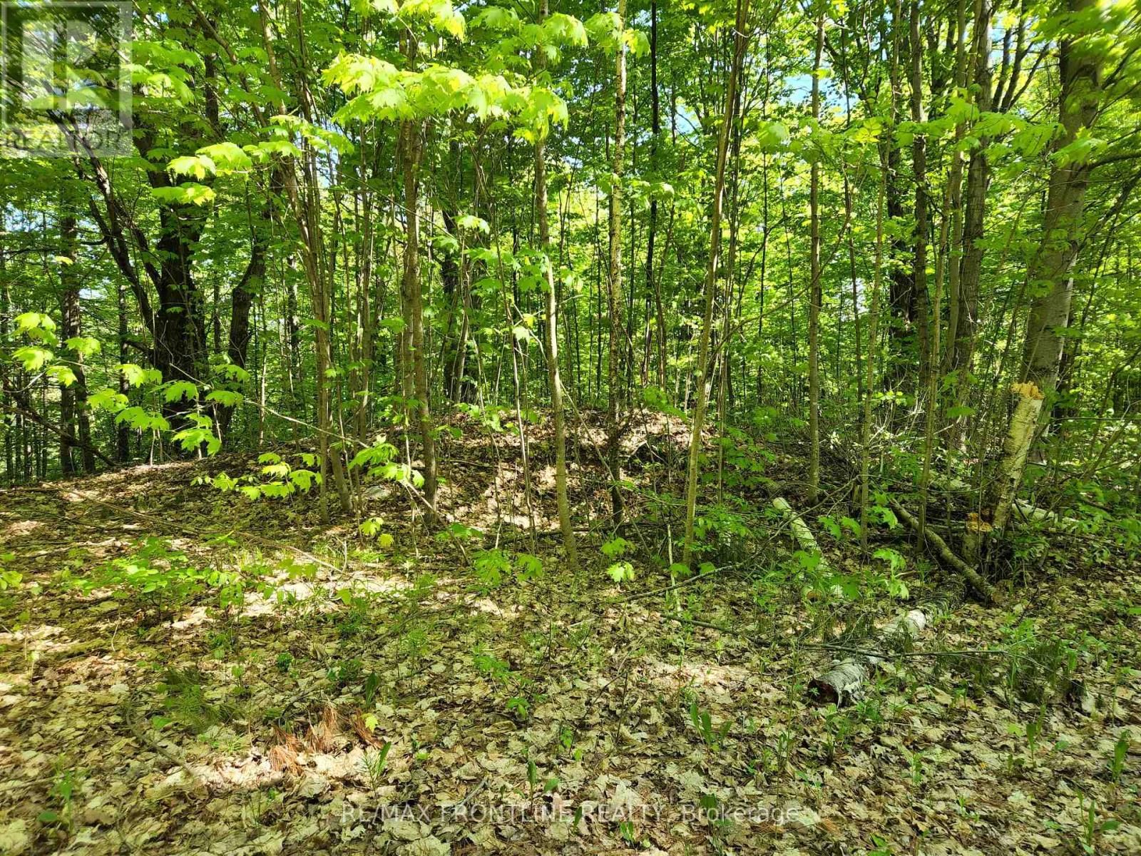 28578 HWY 7 HIGHWAY