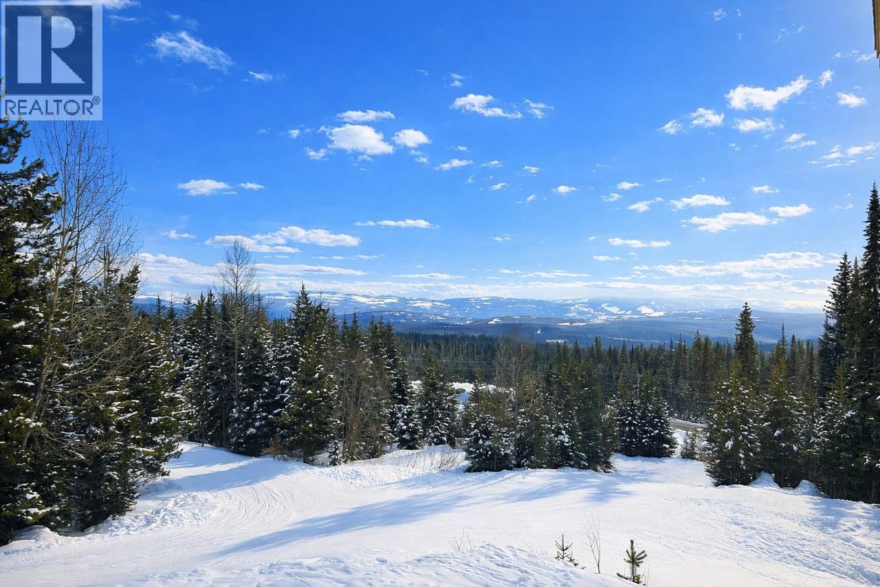 4940 Snowpines Road Unit# B