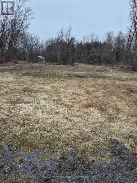 58 WALT STREET Brighton ON K0K1H0