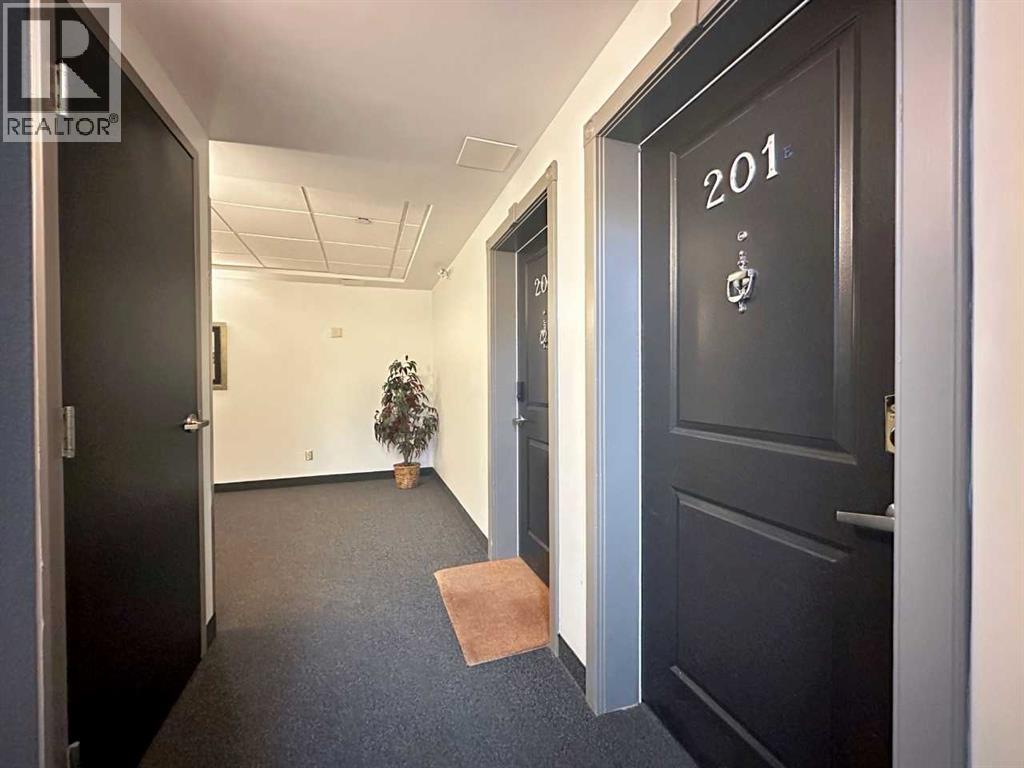 201, 509 21 Avenue SW