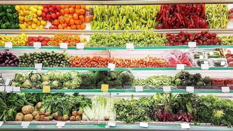 9196 160 STREET Surrey BC V4N3E4