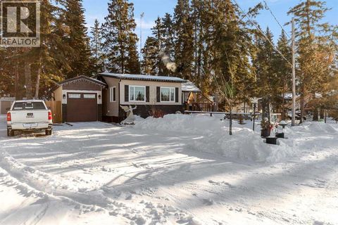 1013 Osprey Drive Livelong SK S0M1J0