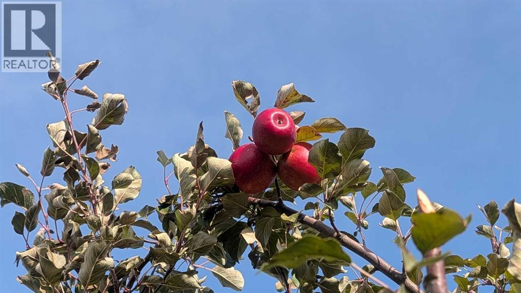 430 Pinehill Road NE