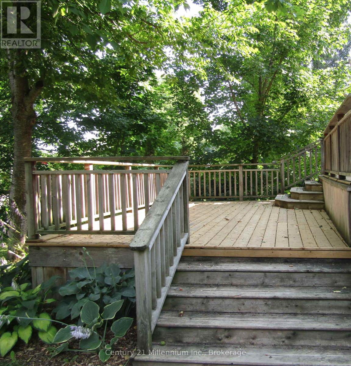 B - 316 CENTRE STREET