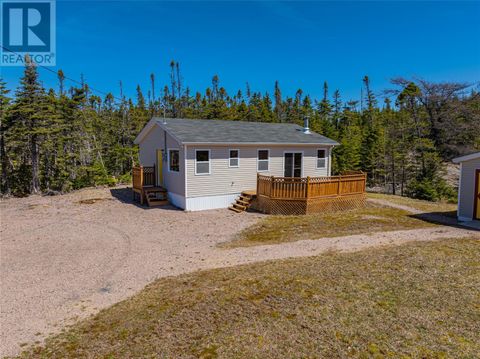 14 Ryans Pond E Brigus Junction NF A0B1G0