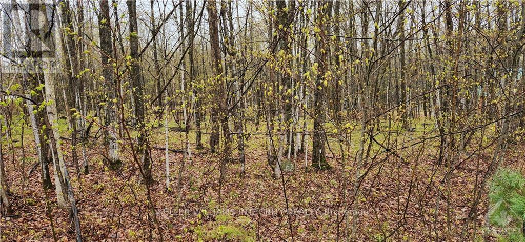 LOT 15 HOLLIE DRIVE