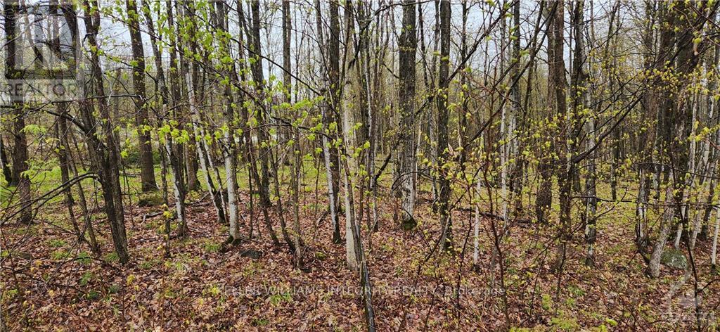 LOT 15 HOLLIE DRIVE