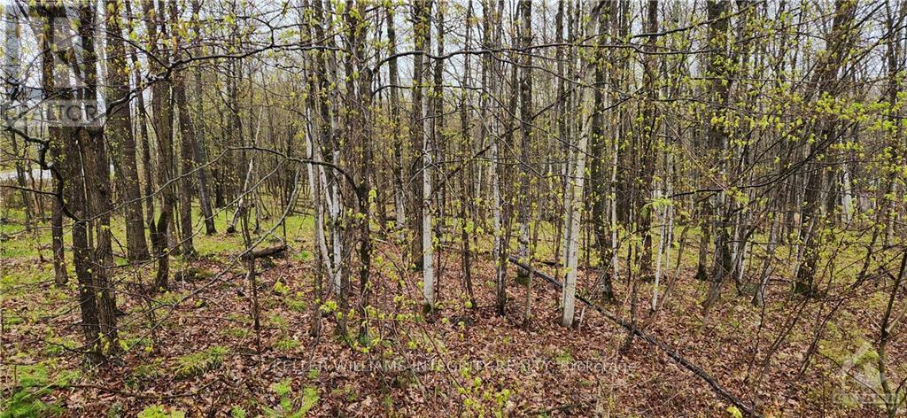 LOT 15 HOLLIE DRIVE