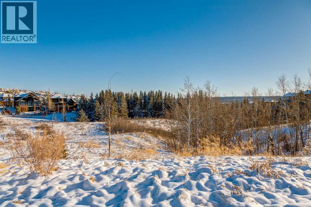 13 Timberline Court SW