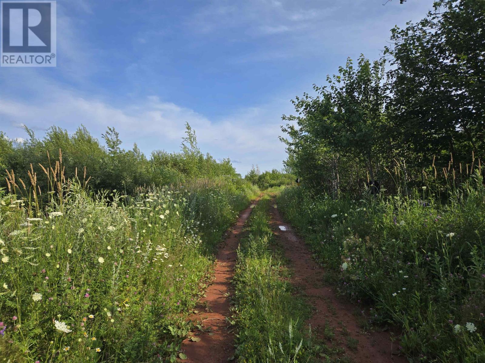 Acreage Deblois Road