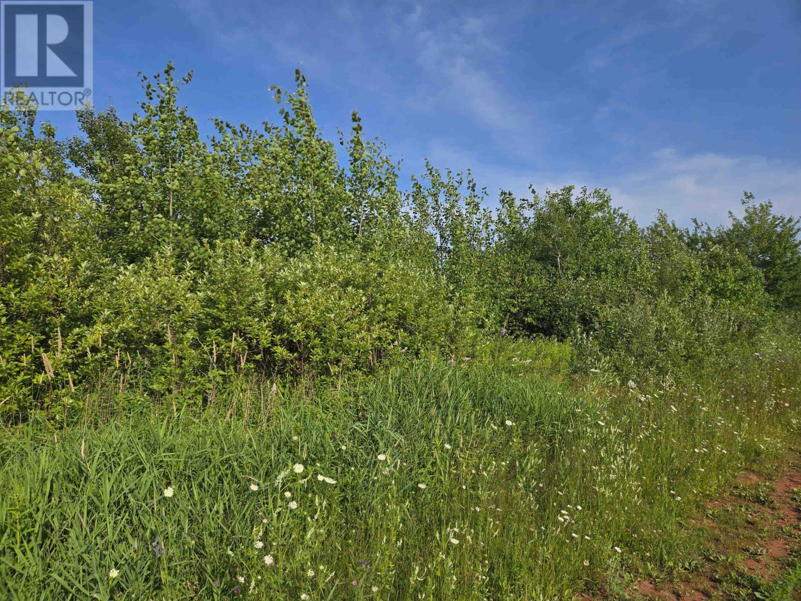 Acreage Deblois Road