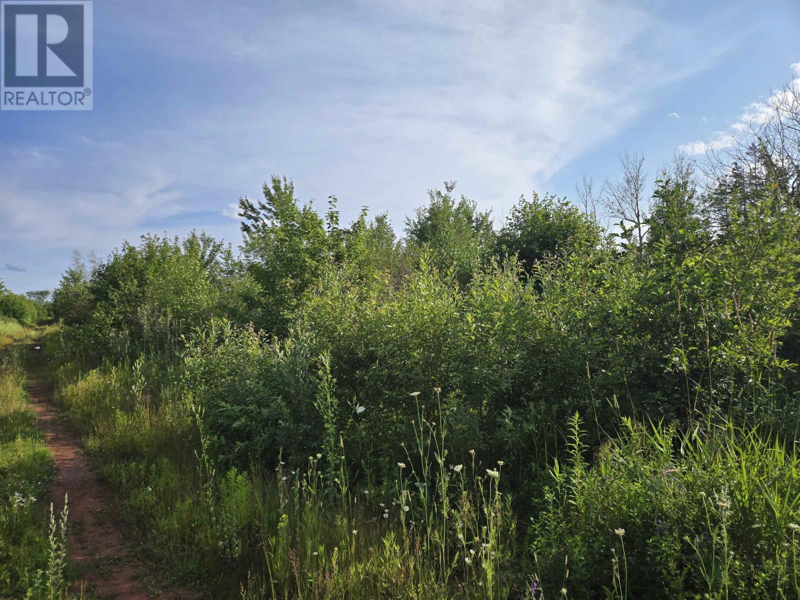 Acreage Deblois Road