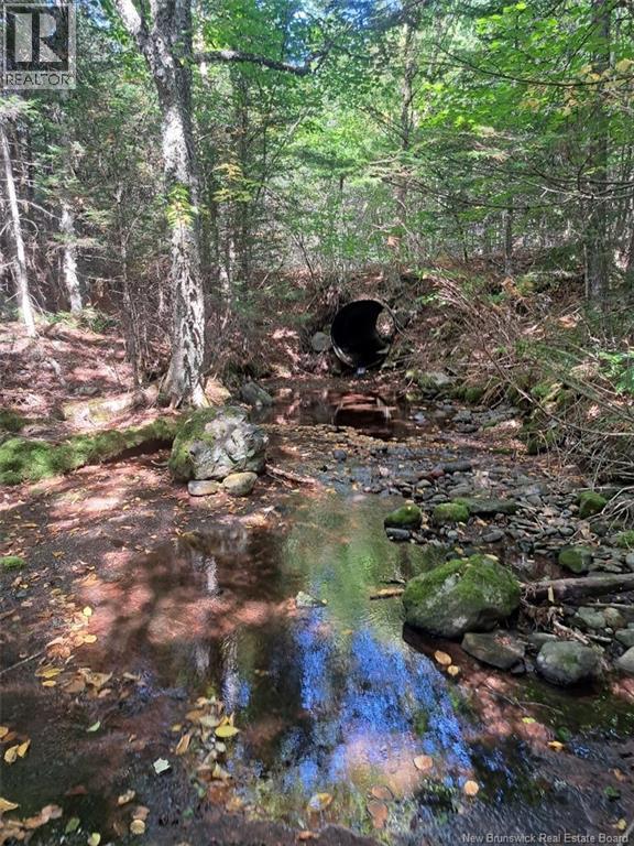 0 Mosher Hill Road - Photo 2