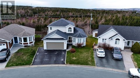 7 Peppertree Place St. John's NF A1H1E3