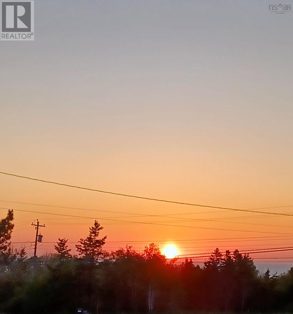 3879 Shore Road - Photo 4
