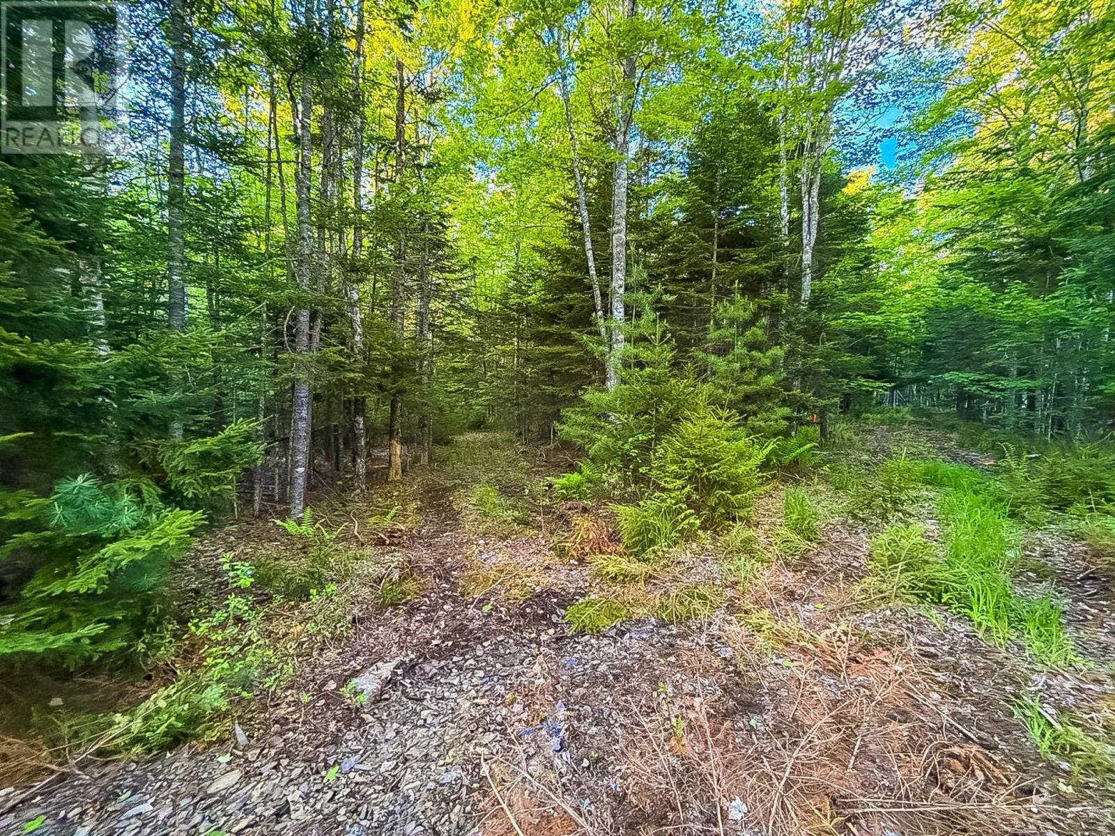 Lot (PID 60242856) Mullock Road - Photo 3