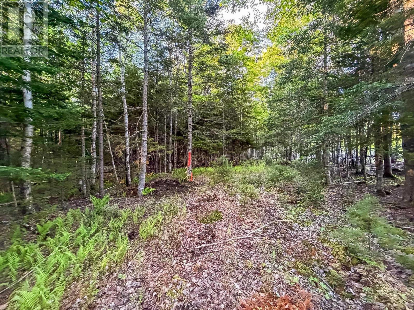 Lot (PID 60242856) Mullock Road - Photo 2