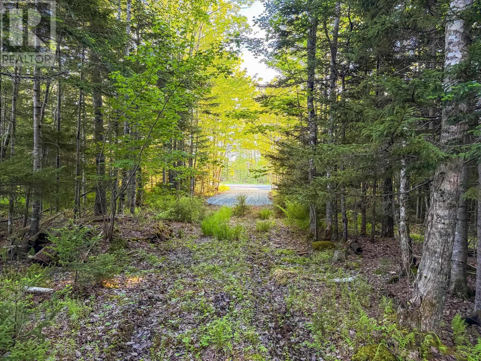Lot (PID 60242856) Mullock Road - Photo 4