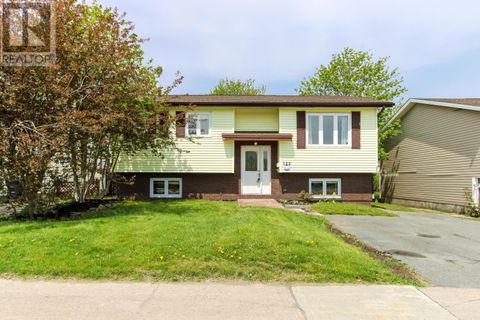 122 Frecker Drive St. John's NF A1E4W8