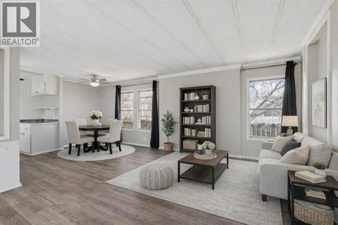 381 Big Springs Drive SE Airdrie AB T4A1A5