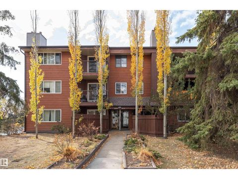 #206 10826 113 ST NW Edmonton AB T5H3J2