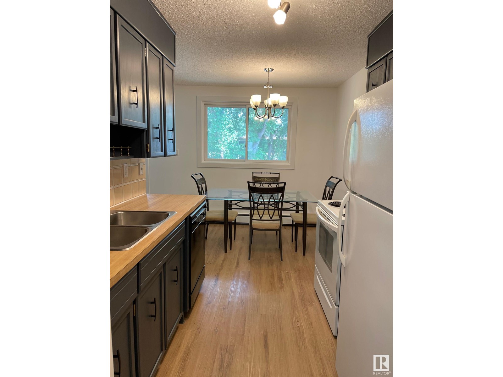 #301 10745 78 ave NW