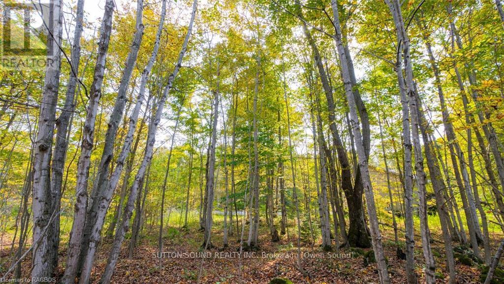 PT LT 25 CONC 16 GREY ROAD 17